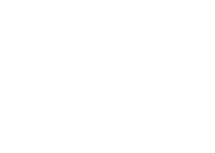 His Wedding Logo